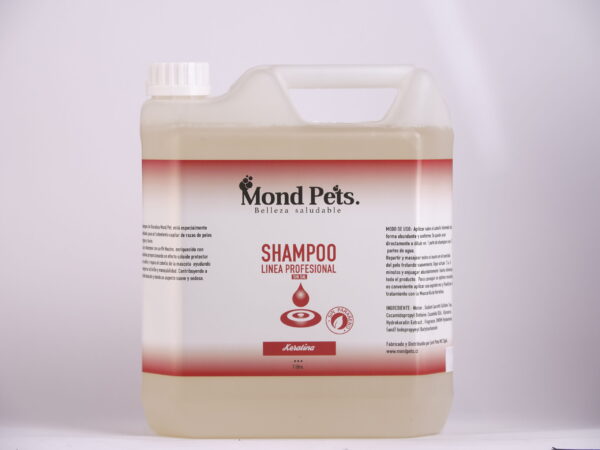shampoo keratina