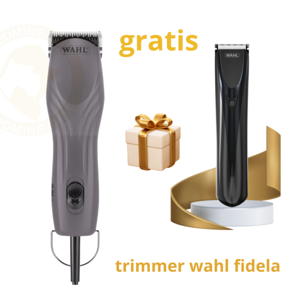 wahl km10+