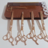 set de tijeras